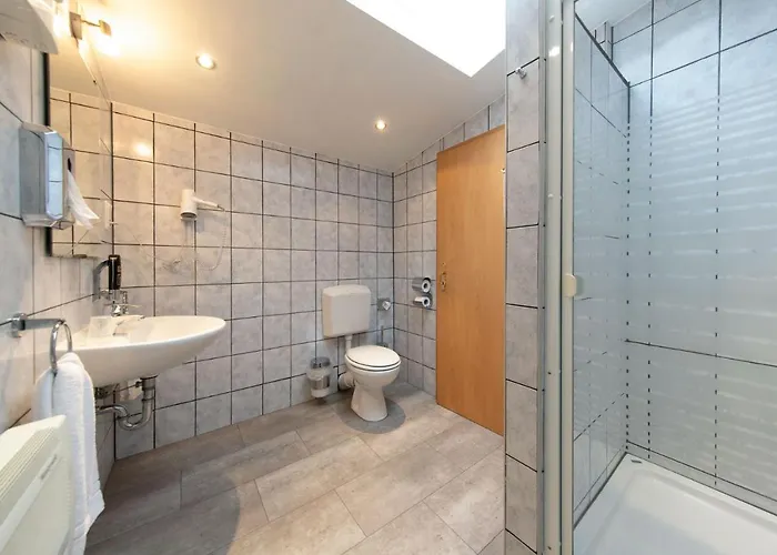 Hotel Zum Siegburger 3*